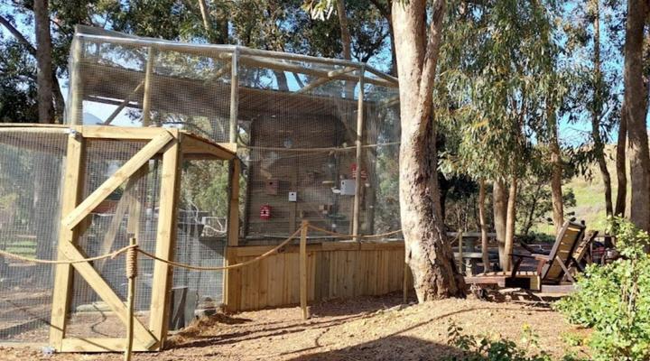 11 Mountain Stream Hot Tub Accommodation