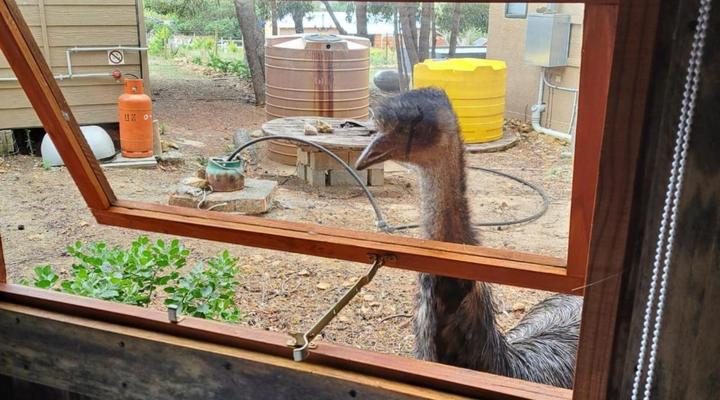 11 Mountain Stream Hot Tub Accommodation