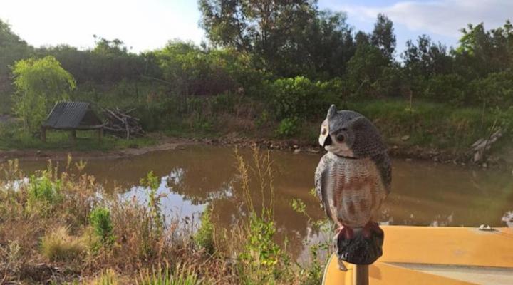 11 Mountain Stream Hot Tub Accommodation