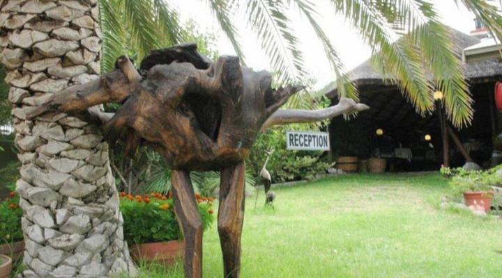 Bird's Nest Guest House