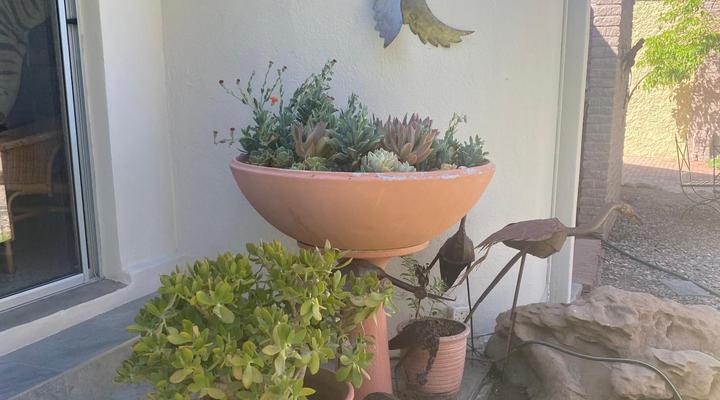 Bird's Nest Guest House