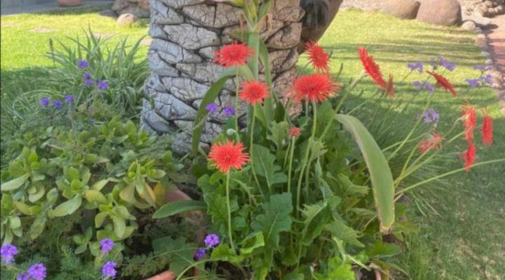 Bird's Nest Guest House