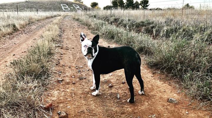 Rondefontein Guest Farm