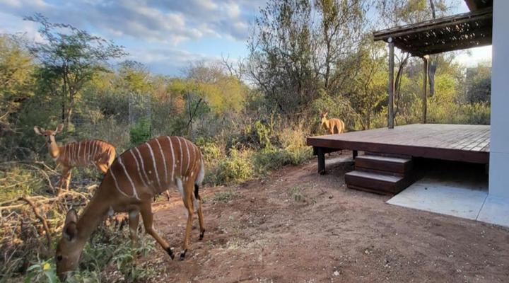 Taaibos Bush Lodge
