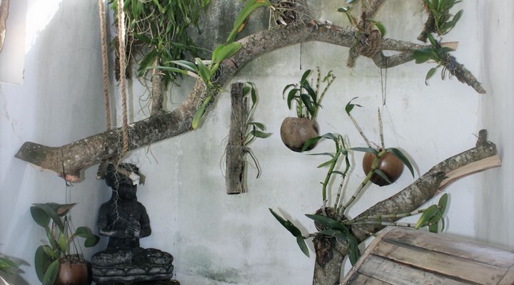 O Lar Do Ouro Guest Lodge