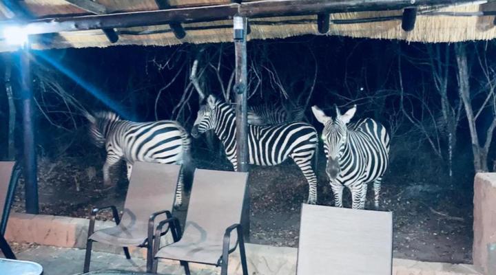 Ivory Sands Safari Lodge