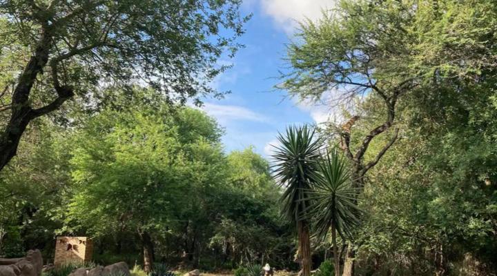 Ivory Sands Safari Lodge