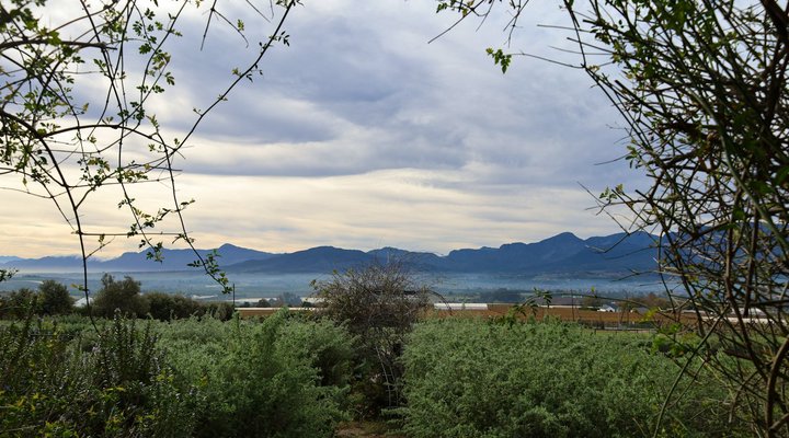 Nine Oaks Self-catering accommodation