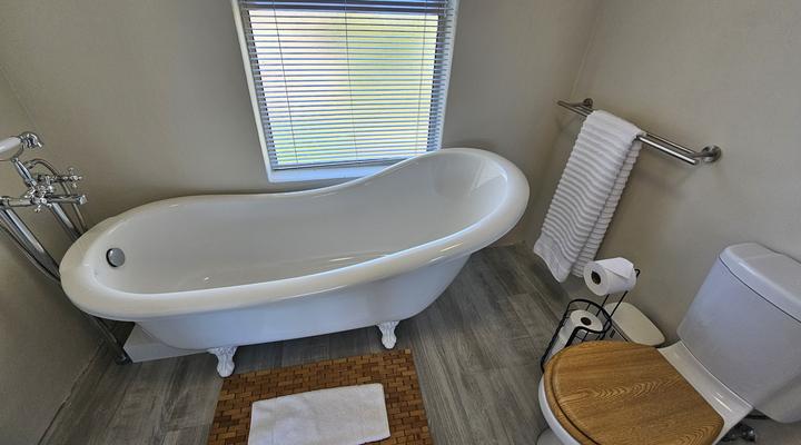 Dorphene 304 by CTHA