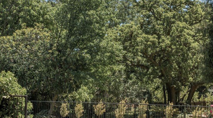 Nonnashoek Country B&B