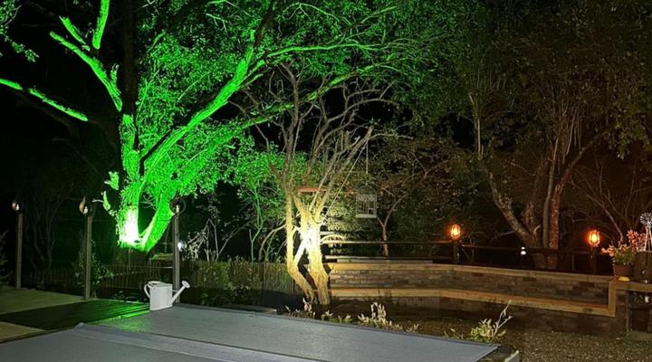 Flight of the Eagle at Kruger