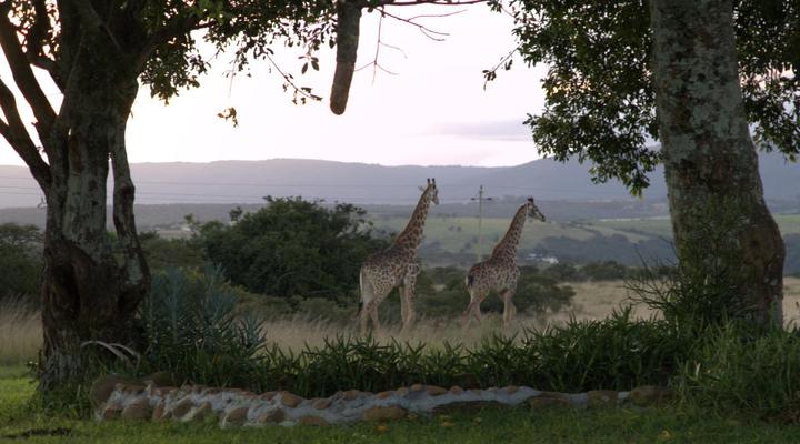 The Ranch House at African Safari Lodge