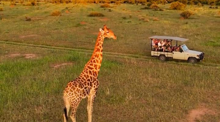 Waterberg Guest Farm