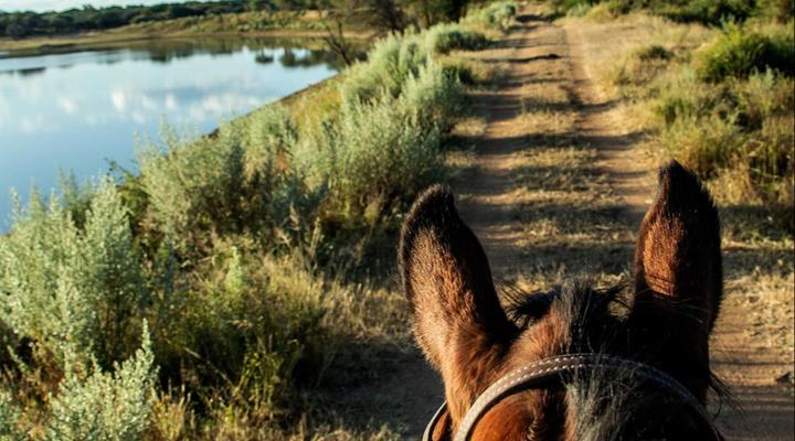 Waterberg Guest Farm