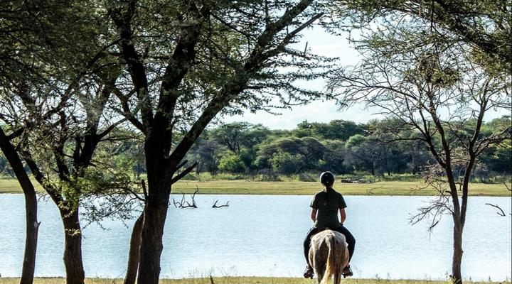 Waterberg Guest Farm