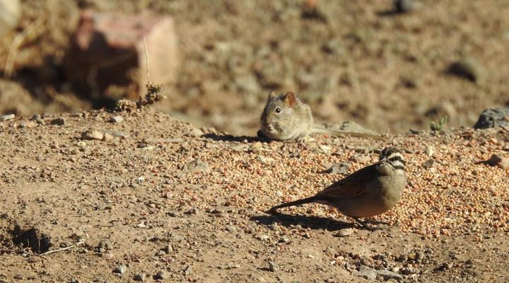 Ouberg Private Nature Reserve