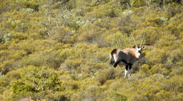 Ouberg Private Nature Reserve