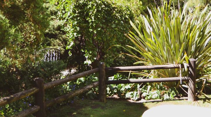 Pandora's Guesthouse