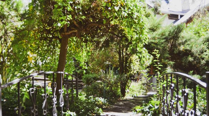 Pandora's Guesthouse