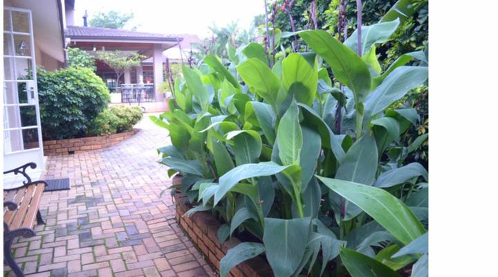 AhHa Luxury Accomodation