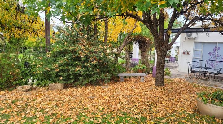 At The Nest B&B Lodge