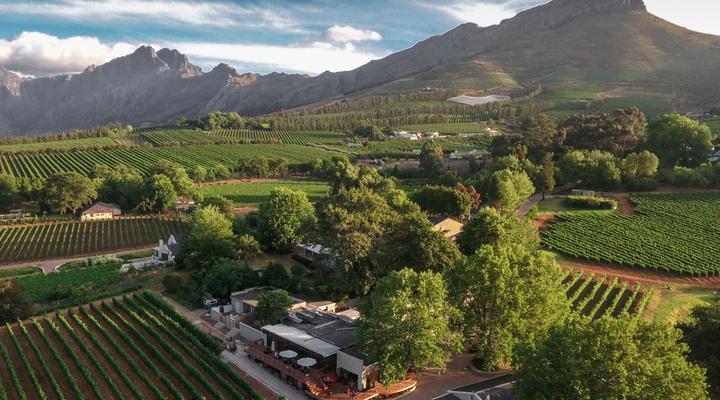 Alluvia Boutique Winery