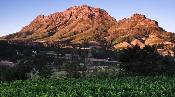 Alluvia Boutique Winery