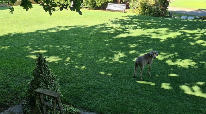 Doornberg Guest Farm