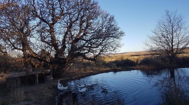 Doornberg Guest Farm