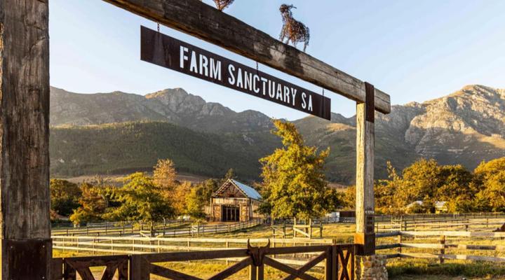 Farm Sanctuary SA