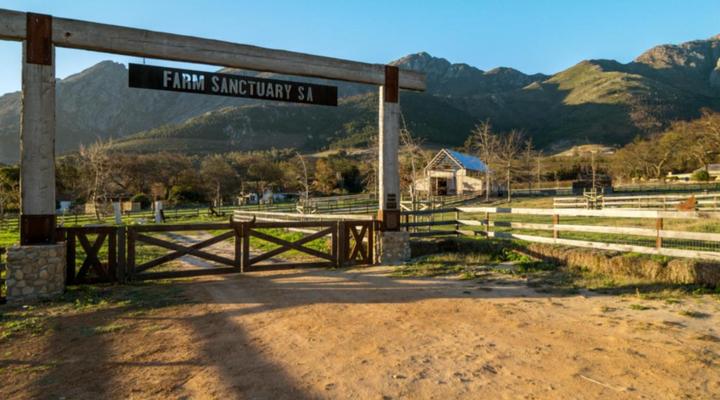 Farm Sanctuary SA
