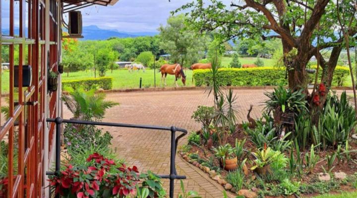 Home On A Hill Accommodation