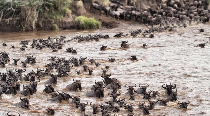 Serian Serengeti North and South Camp