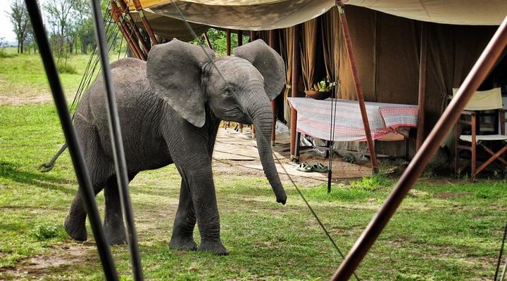 Serian Serengeti North and South Camp