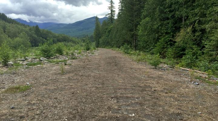 #60 Glacier Springs Cabin