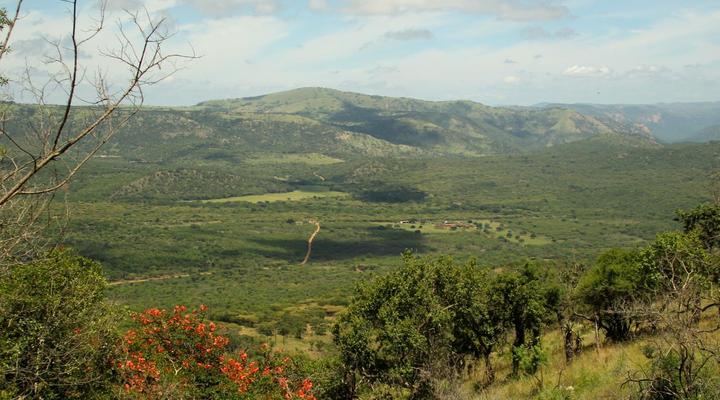 Pakamisa Private Game Reserve & Lodge