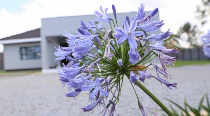 Tambarara Manor & Conference Centre