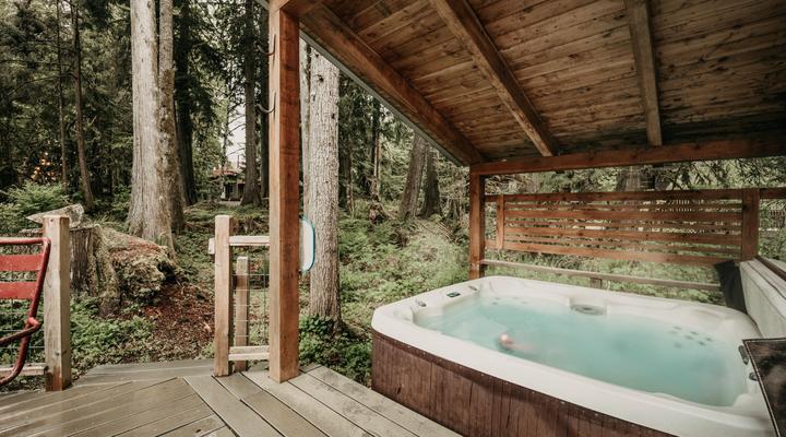 #99 Mt. Baker Rim Cabin