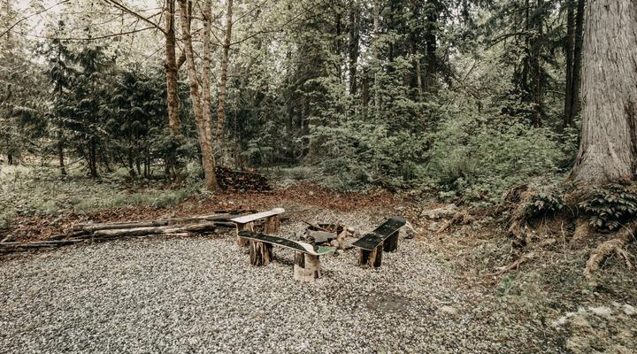 #99 Mt. Baker Rim Cabin