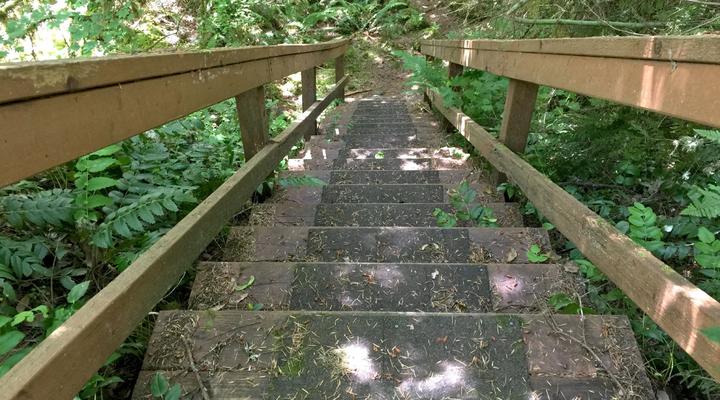 #99 Mt. Baker Rim Cabin
