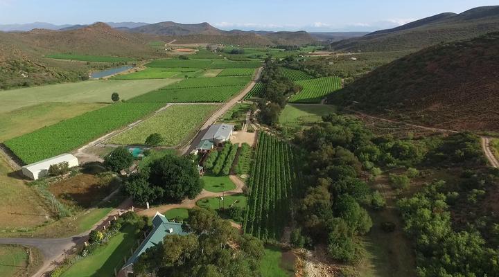 Oaksrest Vineyards Guest Farm