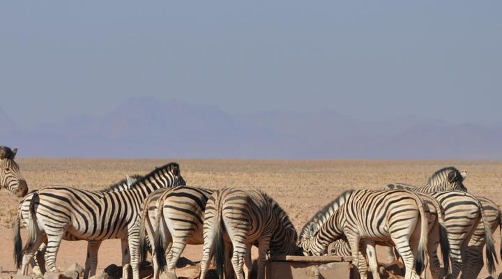 NamibRand Family Hideout