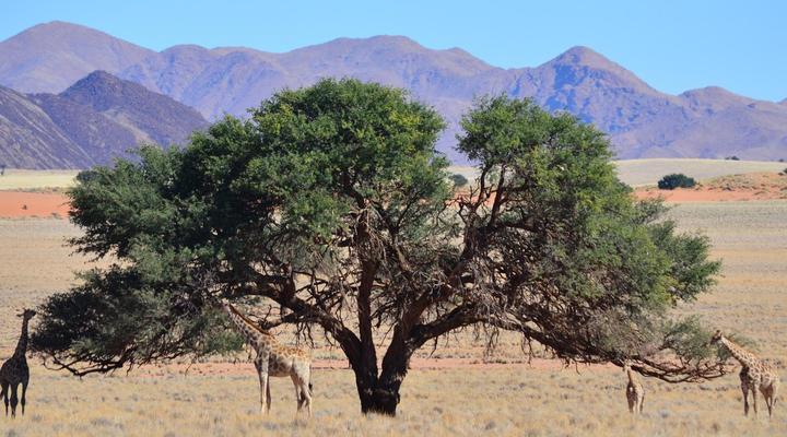 NamibRand Family Hideout