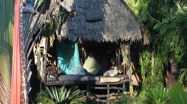 South Coast Backpackers