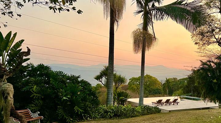 Loerieroep at Nelspruit