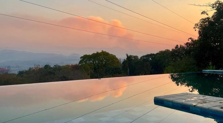 Loerieroep at Nelspruit