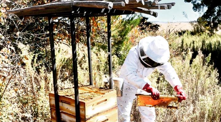 Rondefontein Guest Farm