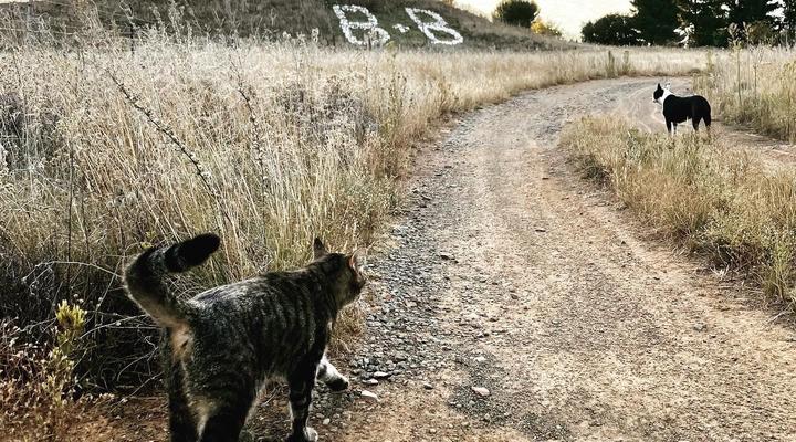 Rondefontein Guest Farm