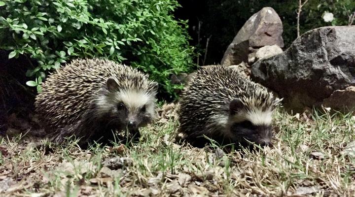 Rondefontein Guest Farm