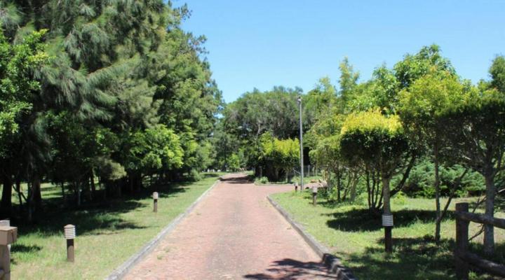 Wild Paradise Cottages